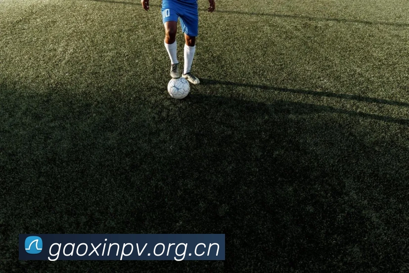 milan登录入口全站App milan登录入口全站App